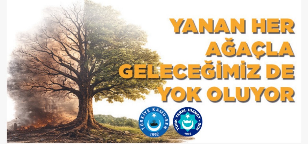 YANAN HER AĞAÇLA GELECEĞİMİZ DE YOK OLUYOR